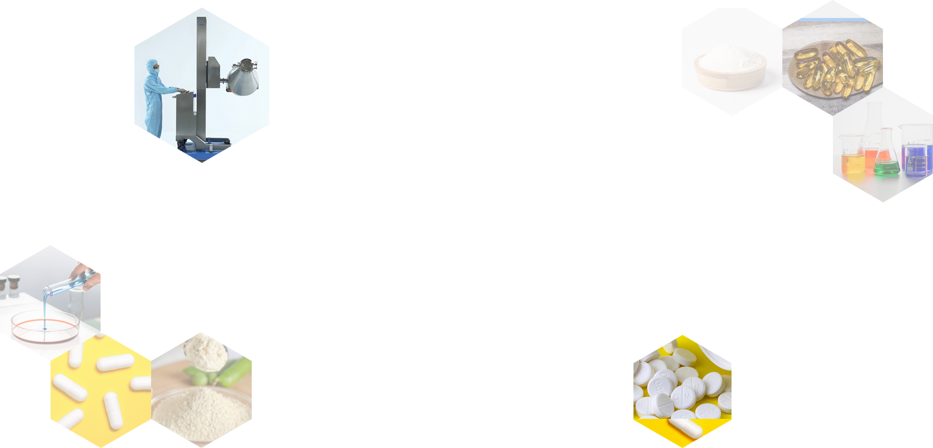 一直追求全球领先技术服务于
<span>制药化工食品解决方案</span>